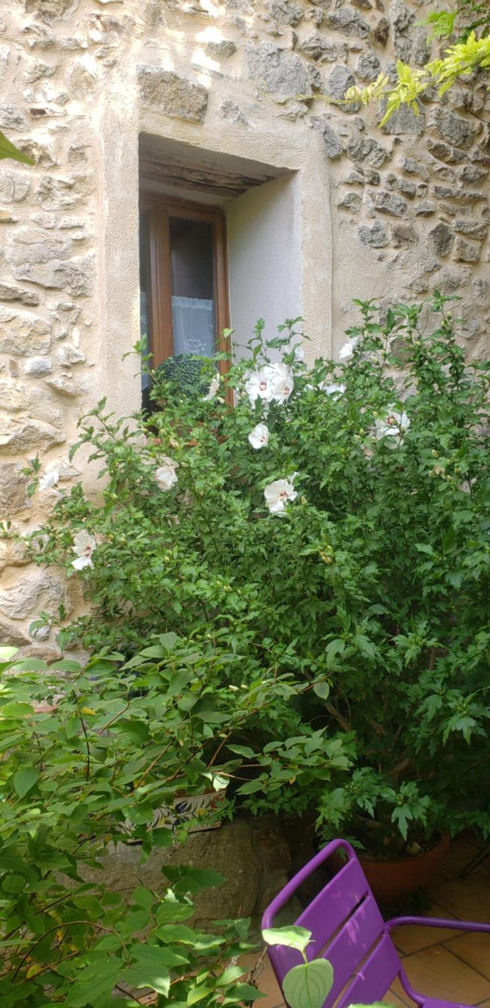 Le Chateau Camps-sur-l'Agly Eksteriør billede