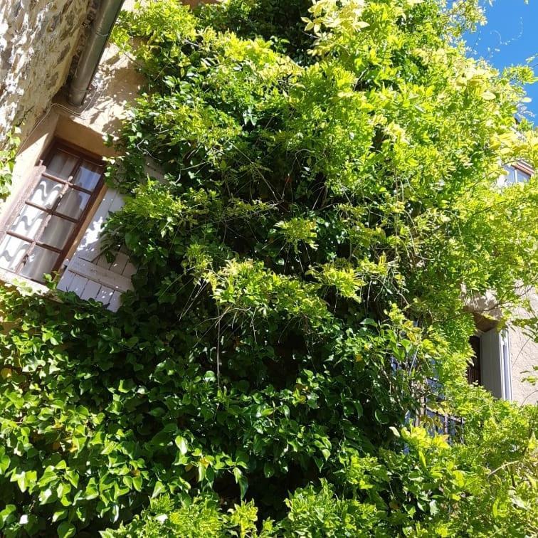 Le Chateau Camps-sur-l'Agly Eksteriør billede
